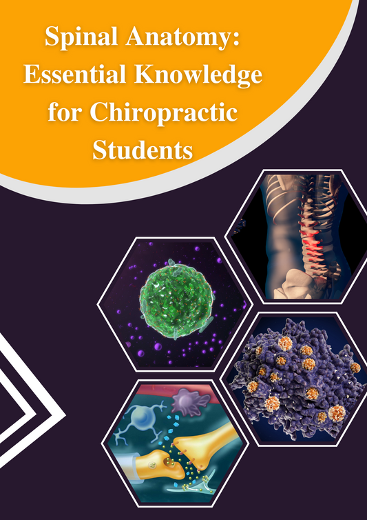 Spinal Anatomy: Essential Knowledge for Chiropractic Students