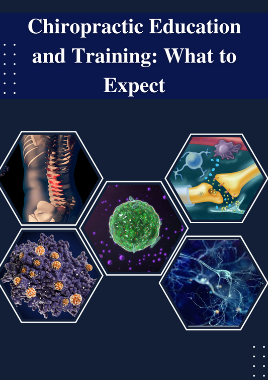 Chiropractic Education and Training: What to Expect